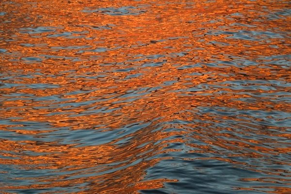 Quelle est la meilleure période pour une croisière qui explore les épaves sous-marines de la Mer Rouge?