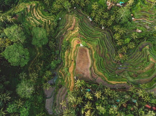 Où assister aux danses Kecak au coucher du soleil à Bali, Indonésie ?
