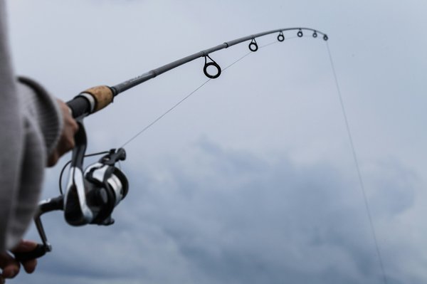 Comment choisir sa canne à pêche pour carnassiers pour une expérience optimale ?